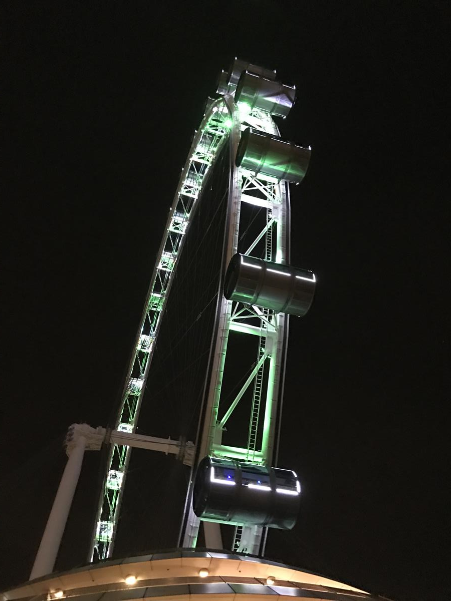 Singapore Flyer